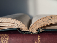 Tipps für wissenschaftliches Arbeiten